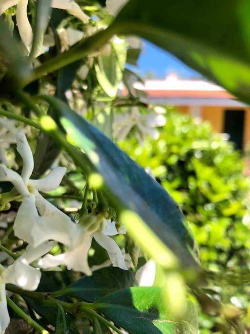 Holiday home I Gemelli *