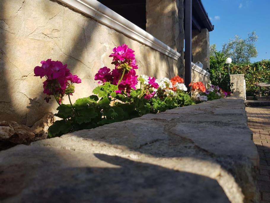 Ferienhaus I Gemelli Vieste