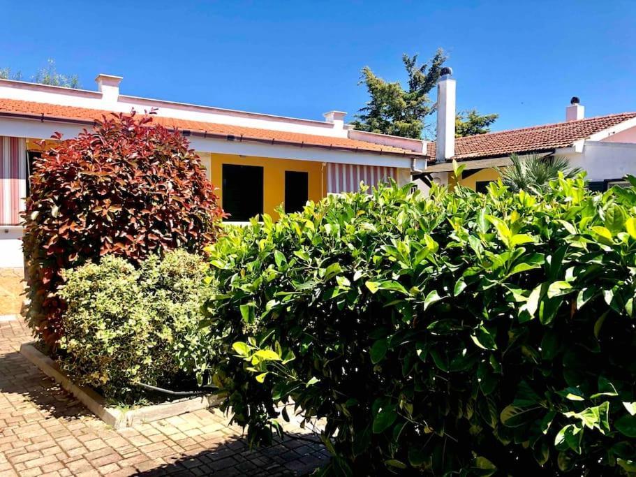 Ferienhaus I Gemelli Vieste